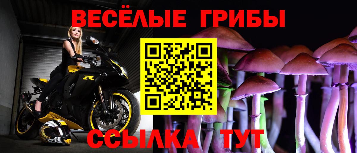 даркнет сайт  Вход с VPN  Пятигорск  Галлюциногенные грибы GOLDEN TEACHER 