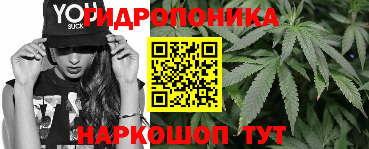 Каннабис Bruce Banner  Бошки Шишки план  Вход с VPN  Бошки Шишки Ganja  Бошки марихуана конопля  Пятигорск 